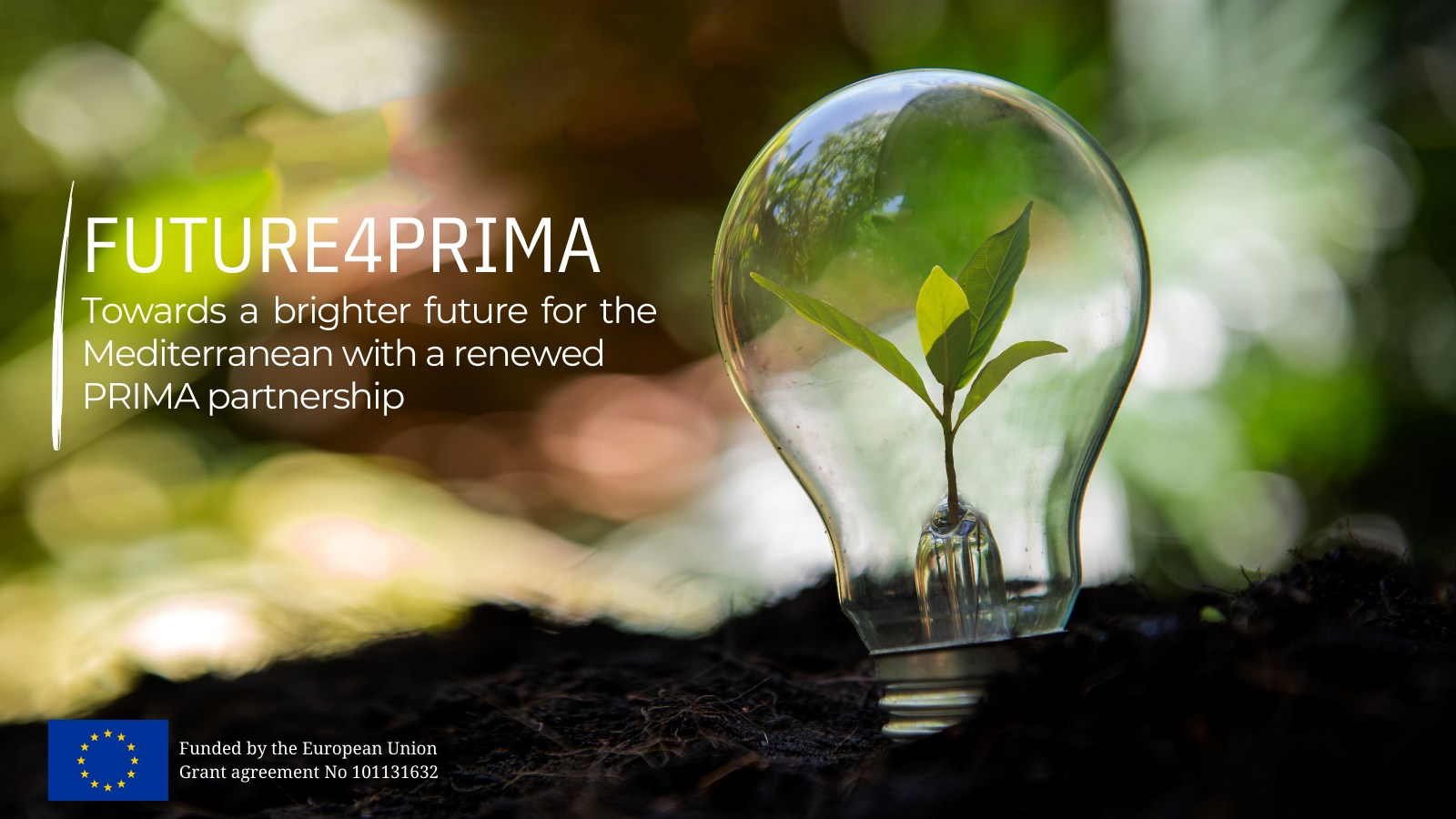 RIMA's New Horizon: FUTURE4PRIMA project paves the way for a resilient Mediterranean