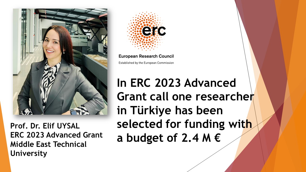 ERC_Elif_Uysal_EN