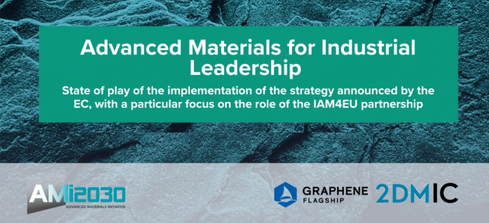 IAM4EU Partnership