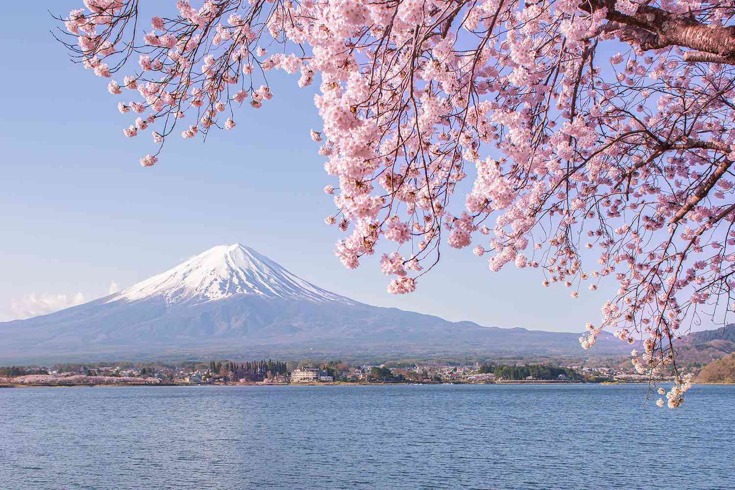 TÜBİTAK ve Japonya Bilimi Destekleme Kuruluşu (Japan Society for the Promotion of Science – JSPS) tarafından ortak araştırma projelerine yönelik 2024 yılı ikili iş birliği çağrısı yayınlandı.