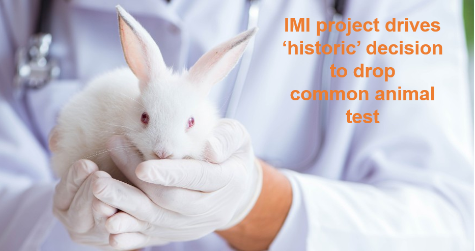 imi
