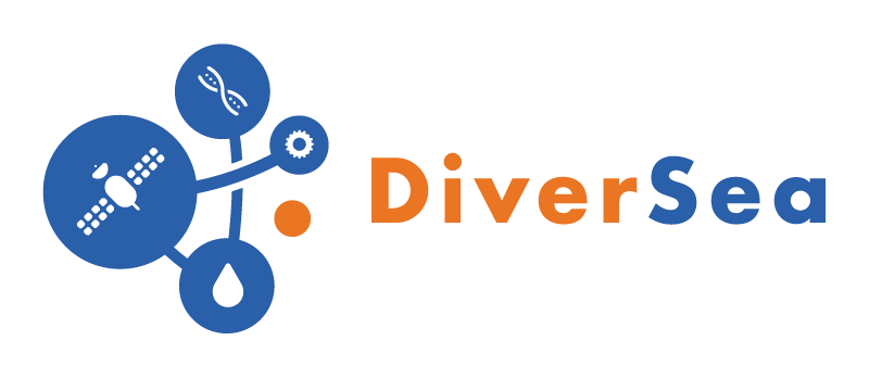 Diversea Logo