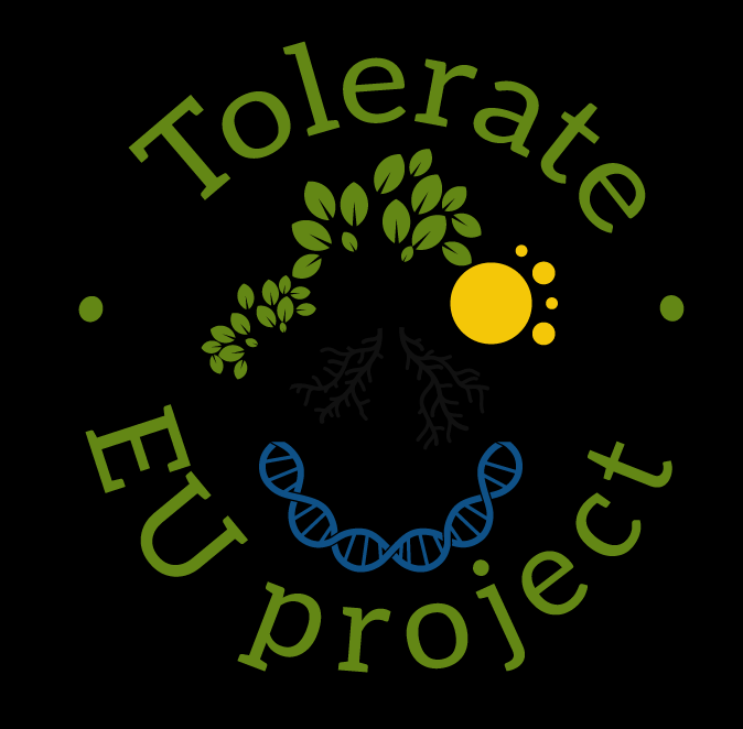 TOLERATE