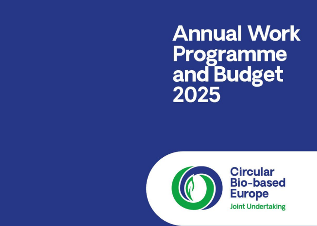CBE_JU_2025_WP