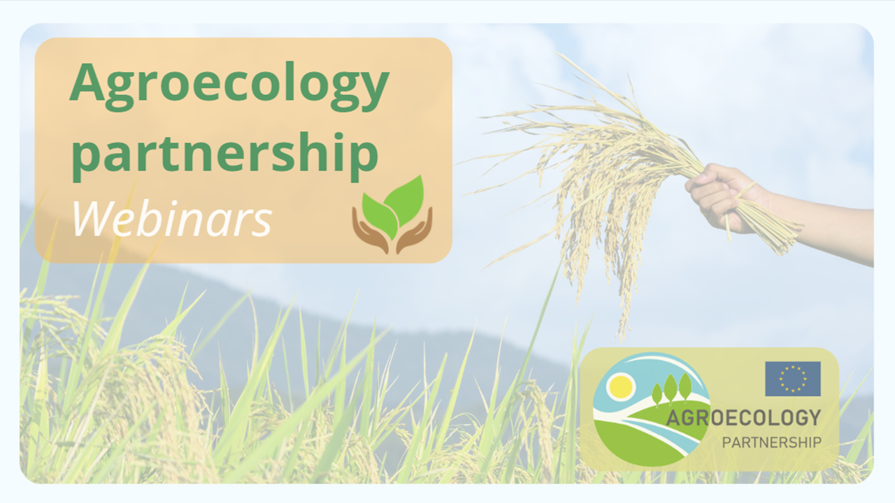 webinar