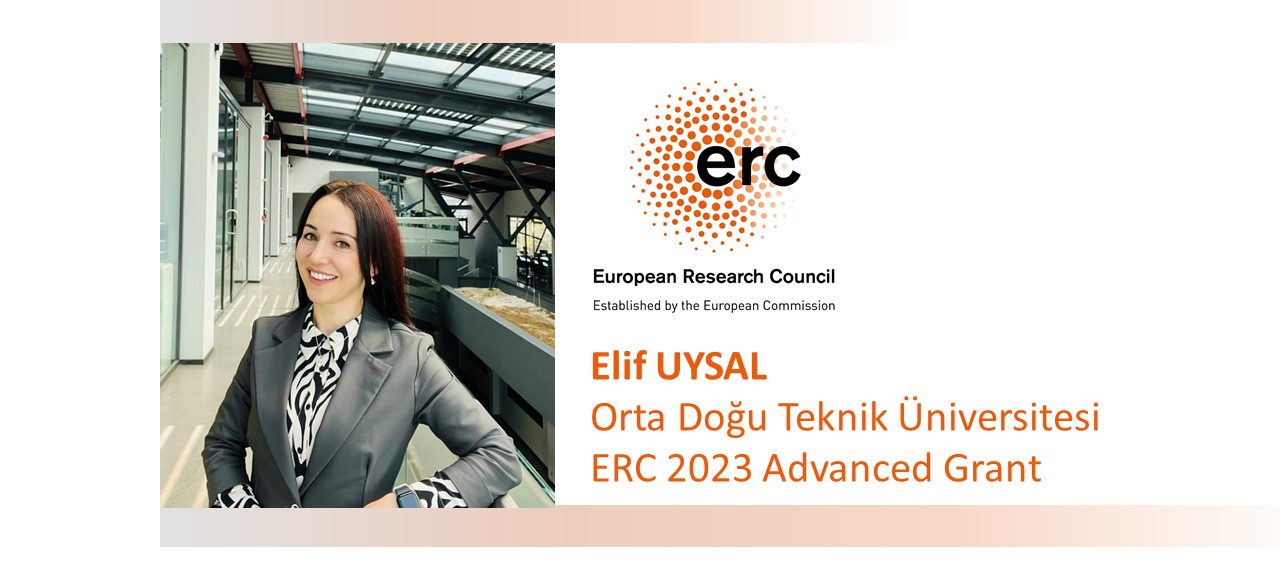 Elif UYSAL ERC