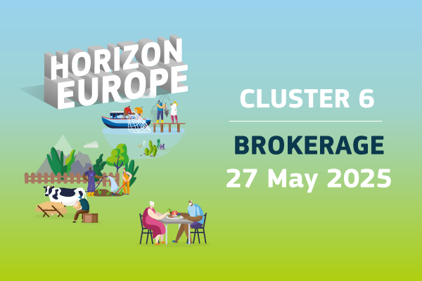 2025 Brokerage Küme 6