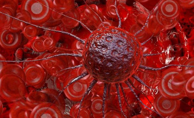 Horizon Europe - Cancer Mission