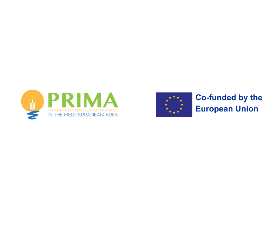 AThe 2025 calls for the PRIMA Program (Partnership for Research and Innovation in the Mediterranean Area), which will support multilateral projects on water management, food systems, and agri-food value chain themes in the Mediterranean region, are open for applications. 