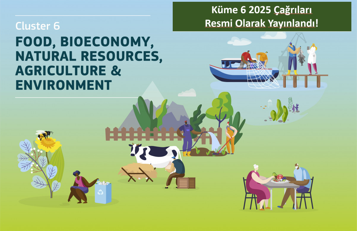 Küme 6 2025 çağrıları