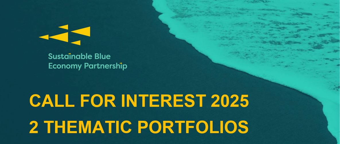 thematic portfolio
