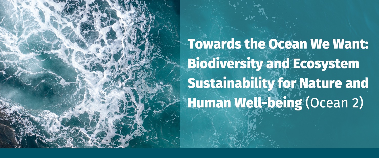 An online information day will be held regarding the Belmont Forum Ocean 2 Collaborative Research Action call.