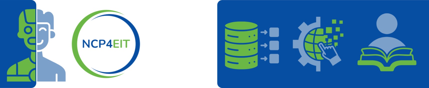 eitsurvey