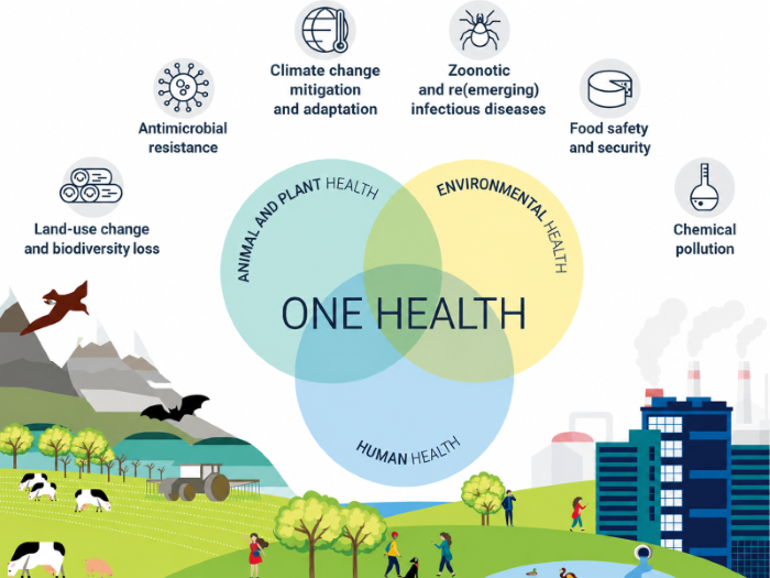 Tek Sağlık (One Health) Yaklaşımı 