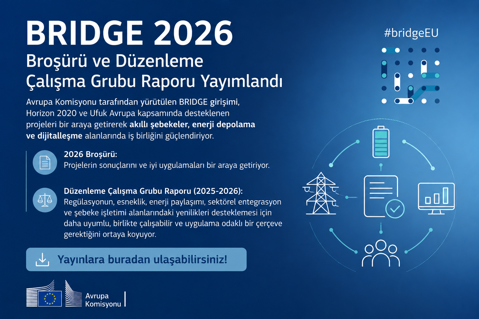 Avrupa Komisyonu çatısı altında yürütülen BRIDGE, Ufuk 2020 ve Ufuk Avrupa araştırma ve yenilik çerçeve programları kapsamında desteklenen projeleri bir araya getiren resmi bir iş birliği platformudur.