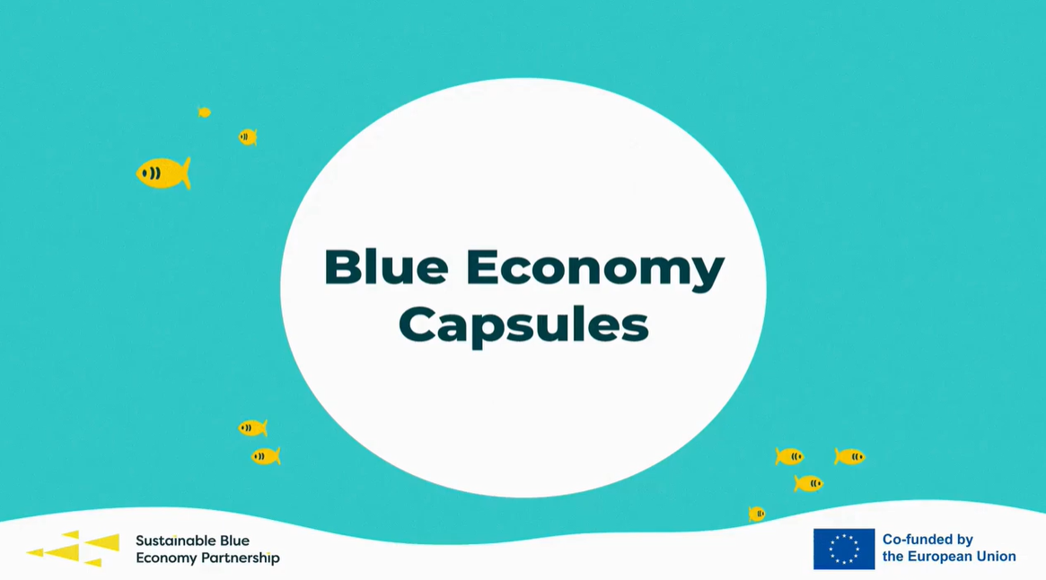 blue economy capsules