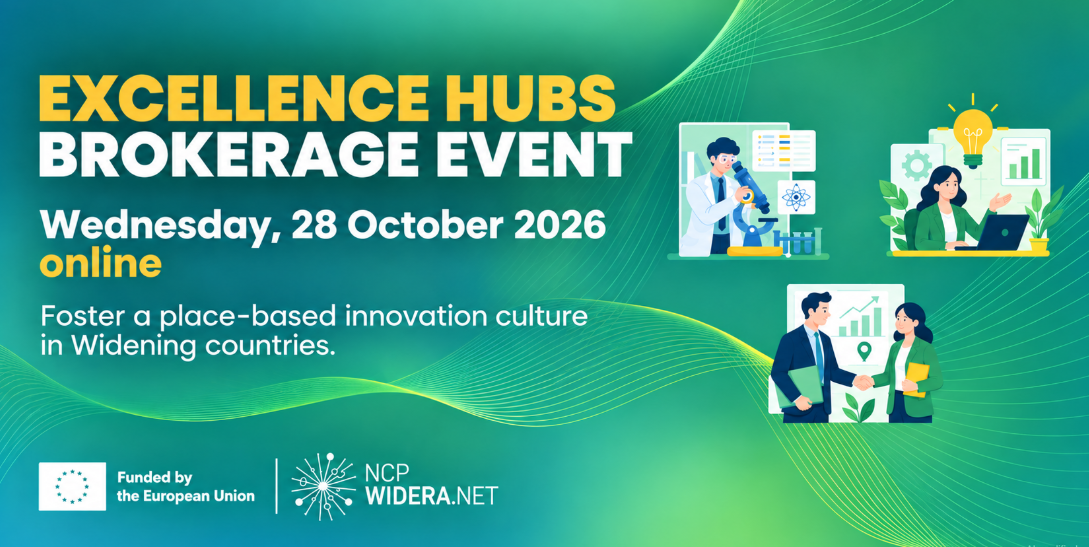WIDERA Excellence Hubs Brokerage Event