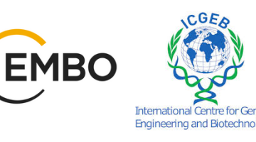 EMBO ICGEB Bilgi Günü Etkinliği