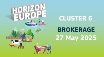 2025 Brokerage Küme 6