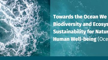 Belmont Forum Okyanus Ortak Araştırma Aksiyonu 2. Çağrısı Kapsamında Çevrim İçi Bilgi Günü Düzenlenecektir