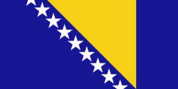 Bosna-Hersek Bayrağı