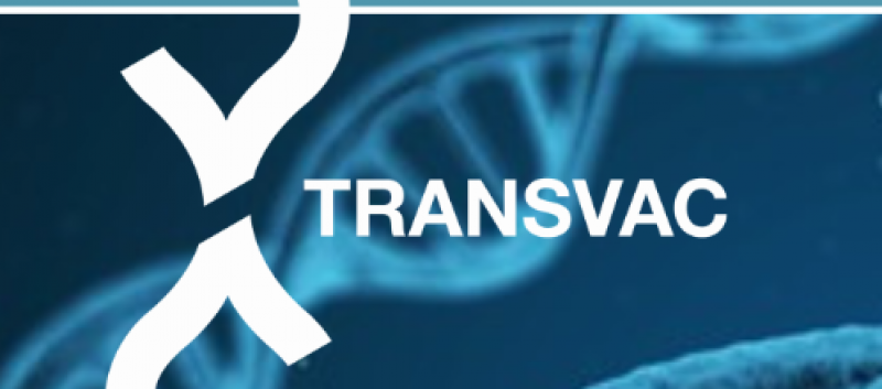 TRANSVAC Projesi