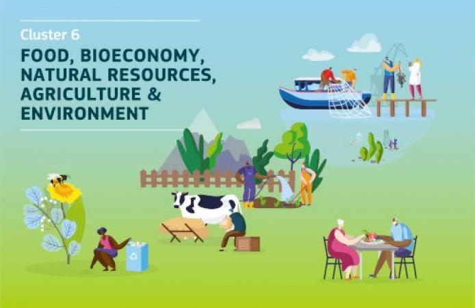 Küme 6-2023 Çağrıları Çevrimiçi Bilgi Günü Kayıtları Açıldı !!!